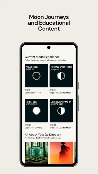 The Pattern Astrology Premium Mod APK Free Download 2025